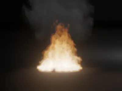 Fire Simulation 3D model