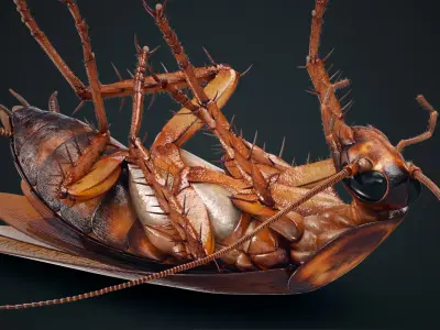  Cockroach American Animated (FUR) 