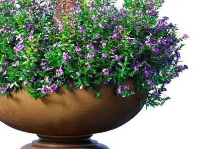 Decorative tall garden tree shrub flowerbed in floorvase  3D model