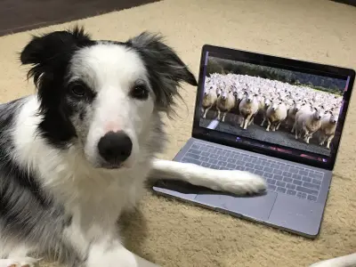 Touchless key 3D print model