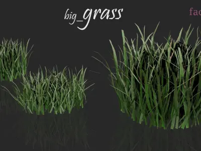 Grass Pack 3D model