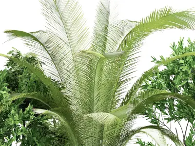 Stone and Bush Pack 19 3D model