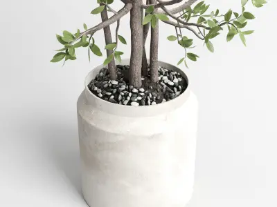 Indoor plant 406 concrete dirt vase plant tree pot Low-poly 3D model