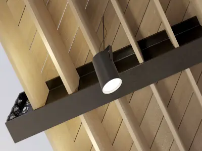 Wooden ceiling on metal beams 24 Low-poly 3D model