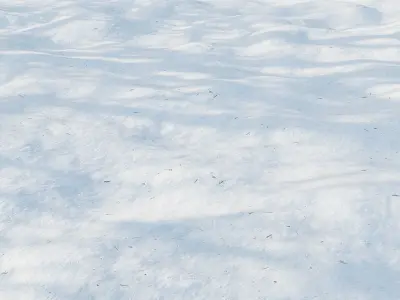 Snow 01 3D model