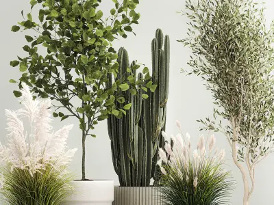 Plants for the street and interior in concrete pots 1212 3D model