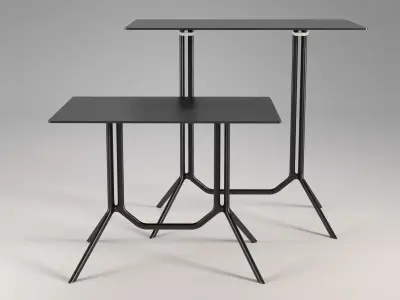 Poule Double 3D model