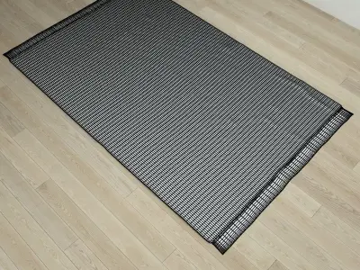 Berber rug from Morocco 3D model