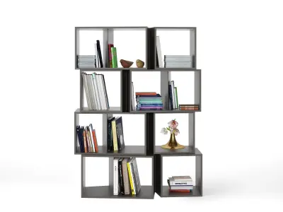 Cuts Bookshelf Composition 4 and 5 3D model