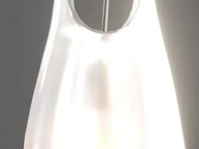 Hold Ceiling Mounted Pendant Light 3D model