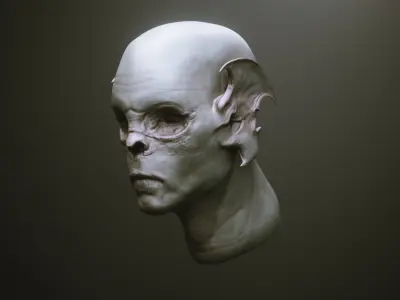 EARS - 40 ZBRUSH VDMs 3D model
