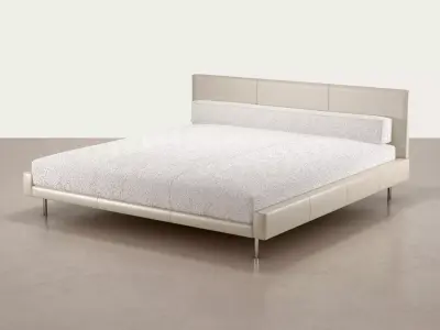 Skin Bed 3D model