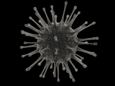 Generic Virus 3D model