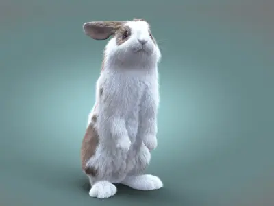  Rabbit Spotted RIG XGEN 