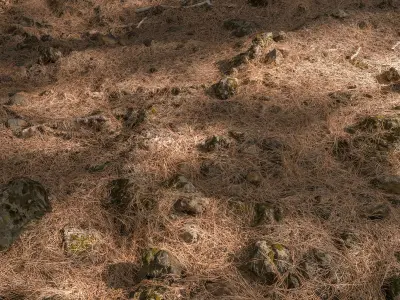 Forest litter  Low-poly 3D model