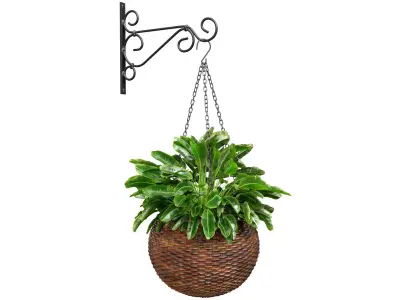 Hanging basket flowerpot rattan pot with decorative fern 3D model