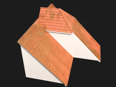 Realistic Roof Collections 20 3D model