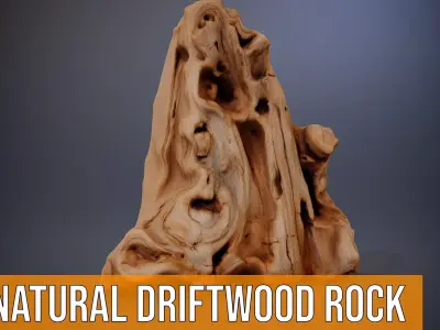 Natural Driftwood Rock model pack Low-poly 3D model