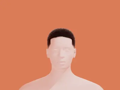 Fade Hair 3D model