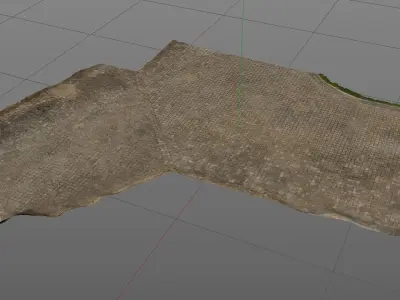 3D Scanned Pavement and driveway 3D model