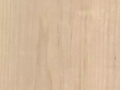 Modern Curved Japandi Lounge Sofa and Table Set 3D model