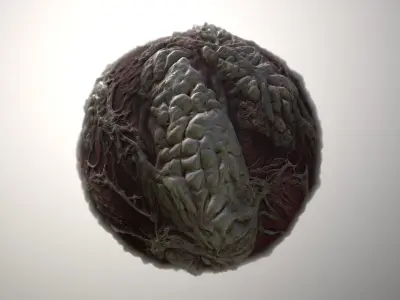 Material Skin Monster 21 Seamless PBR Texture Texture