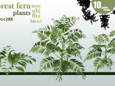 10 forest fern plants VOL 07 Low-poly 3D model