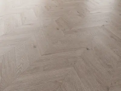  Parquet Oak Nordic NEW WWL set 4 3D model
