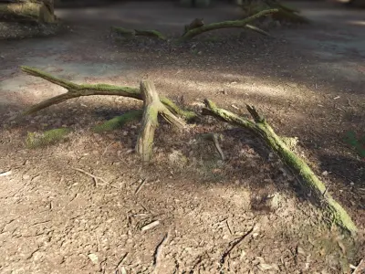 Forest Tree Root D 3D model