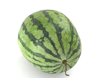Yellow Watermelon - Photorealistic Scan Low-poly 3D model