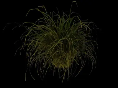 Grass Set Pack Lowpoly Free 3D model