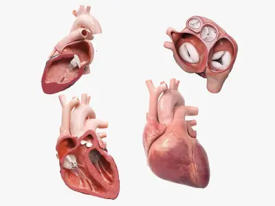  Heart Pack Animated 