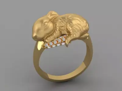 Rabbit ring 3D print model