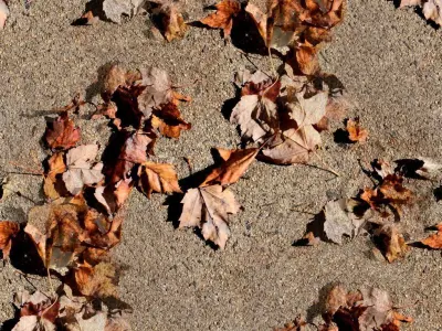 Leafy Concrete Seamless Material Texture