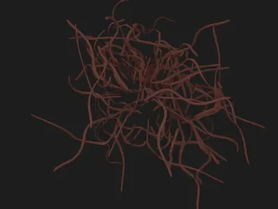 Selected Kiwi materials for tutorial Free 3D model