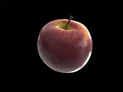 New Zealand Red Apple 3D model