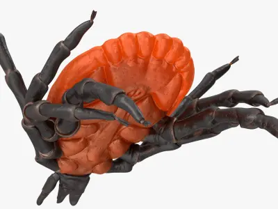  Parasites Rigged Collection 2 