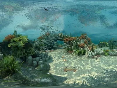  Ocean floor coral reefs Shoal of fish 