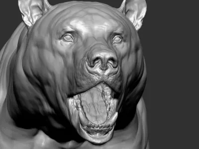  Bear with Facial Expression 