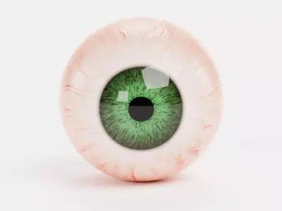 Human Eyeball with Green Iris - Realistic Anatomy 3D model