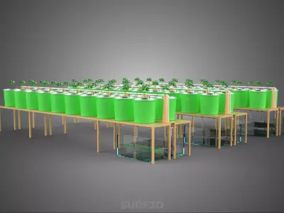DUTCH BUCKET HYDROPONIC CROP PLANT FACTORY GREENHOUSE PRODUCTION 3D model
