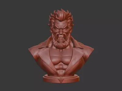 Akuma Bust  3D Model STL Printable 3D print model