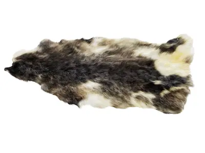 Sheepskin skin 3D model