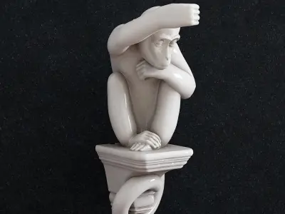 Monkey Bra 3D print model