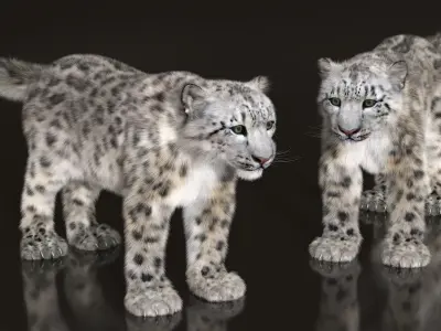 Snow Leopard Fur Rigged 