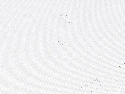 Daqing China City Landscape 3D Model 3D model