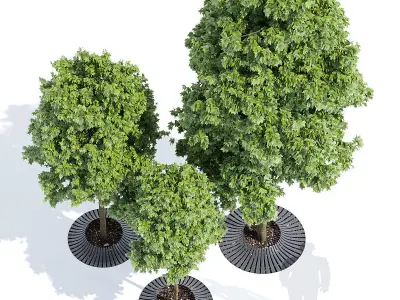 Calyx three trees 3D model