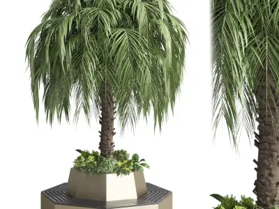plant and plam interior exterior bench 02 Low-poly 3D model