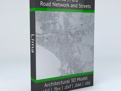 Lima Road Network and Streets 3D model