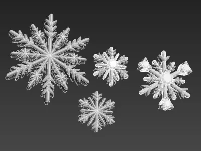 141212 D Snowflakes details  3D print model